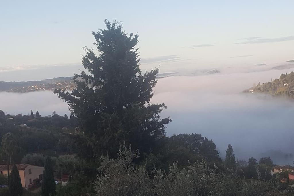 De 1 A 6 Avec Terrasse Solarium, Vue Panoramique Et Parking Gratuit * Grasse